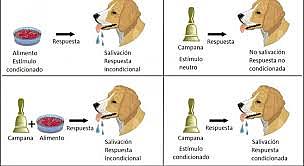 Iván Petrovich Pávlov reflejo condicional