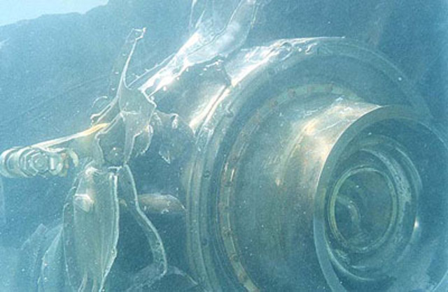 Jet Crash Kills 143 off Bahrain