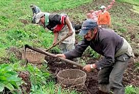 Phillip Von Fallenberg 1771 - 1844