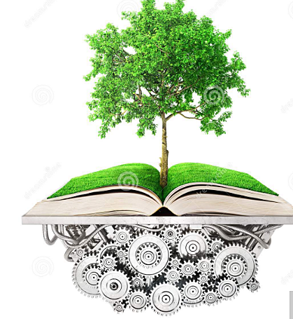 OBJETO DE CONOCIMIENTO