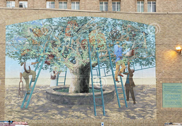 DE OBJETOS DE CONOCIMIENTO A CONTENEDORES FORMADOS POR COMPARTIMENTOS