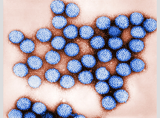 Vacuna Rotavirus