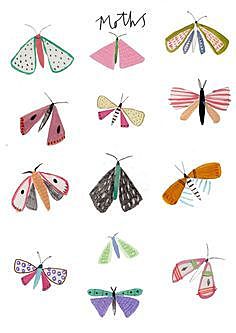 Pensar los catequismos escolares.