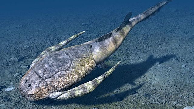 21:20h – 4 billones de años – Aparecen los Primeros Peces