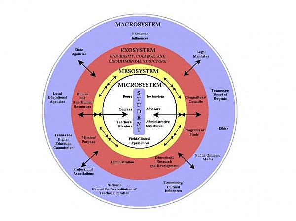 PERSPECTIVA CONTEXTUAL - TEORIA BIOECOLOGICA URIE BRONFENBRENNER (1917-2005)