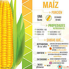 y porque esto es tan nutritivo?