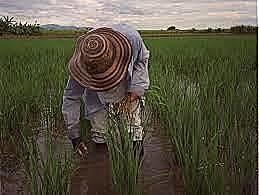 1992 ICA PARA REGULACIÓN Y CONTROL SANITARIO