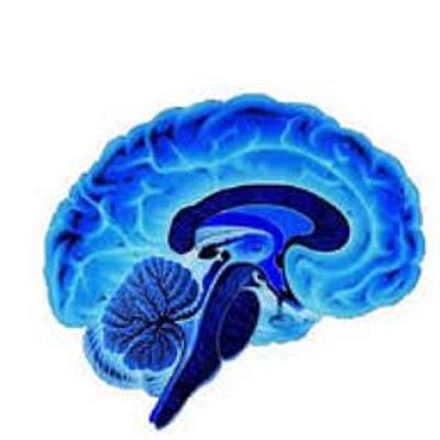 Timeline: Evolución de la neurociencia de la conducta