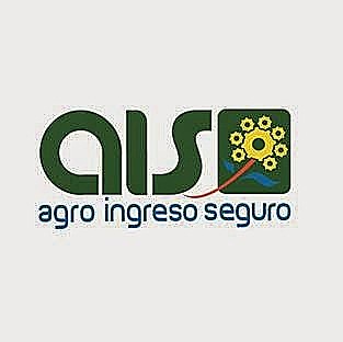 2007 AIS Ley 1133 de 2007