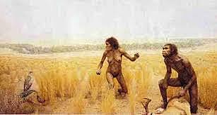 23:59:12h – 2,4 millones de años – Aparece el Género Homo