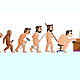 Evolucion