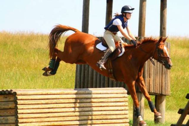 First event on my new horse.