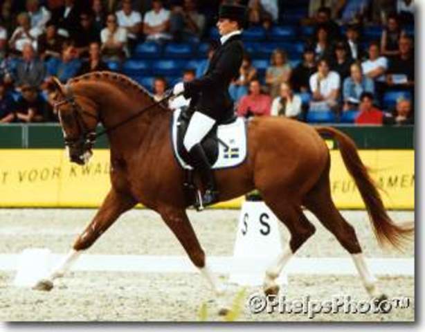 My 2nd dressage show!!