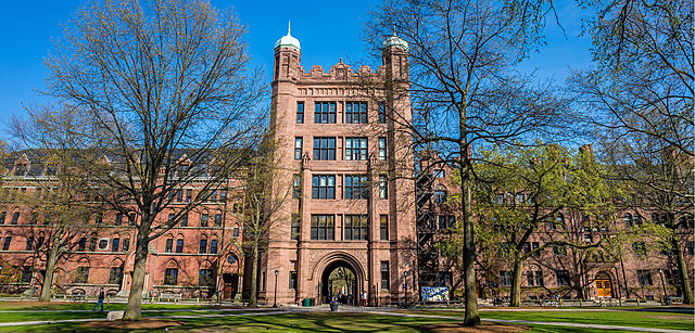 First year of IB College