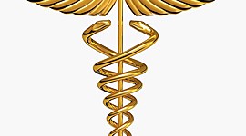 Timeline: Gerontología y Geriatría en México