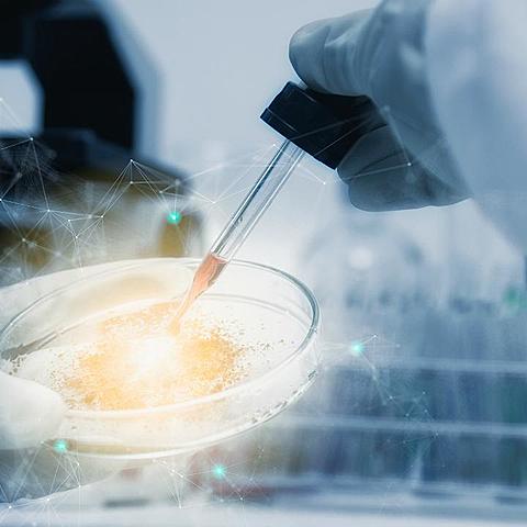 Embriones artificiales.