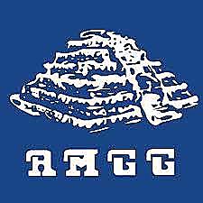 Asociación Mexicana de Gerontología y Geriatría A.C