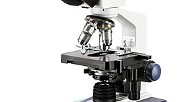 Timeline: Microscopio