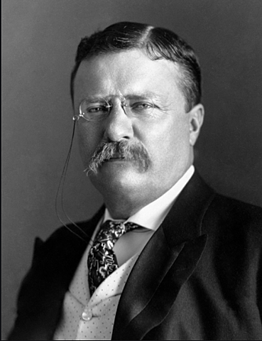 Theodore Roosevelt becomes president