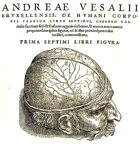 Andrea Vesalius y la fuente de los procesos mentales