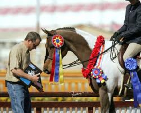 Rode in my 1st horse show