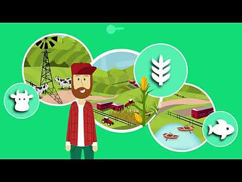 Leyes 4ta, 5ta y 6ta