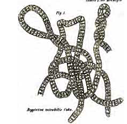 Ferdinand Cohn (1828-1898)  – FUNDO EL CAMPO DE LA BACTERIOLOGIA Y DESCUBRIO LA FORMACION DE ENDOSPORAS EN BACTERIAS