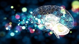 Timeline: Evolucion Historica de las Neurociencias