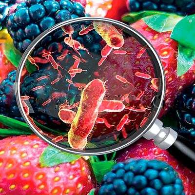 Timeline: Microbiologia de los alimentos