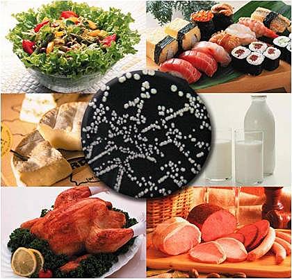 Enfermedades alimentarias