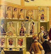 Edad contemporánea Surgimiento del concepto de salud pública