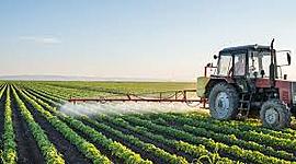 Timeline: Modernizacion Agricola- Marcos Perez