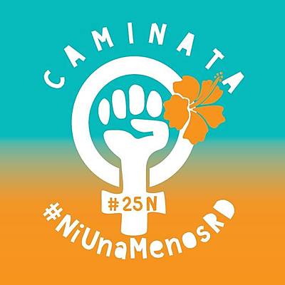 Timeline: Situacion de la Violencia contra la Mujer