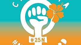 Timeline: Situacion de la Violencia contra la Mujer