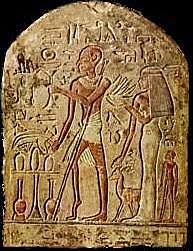 Primera infección microbiana registrada