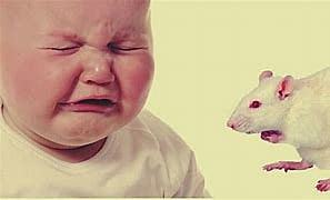 Experimento con el pequeño Albert