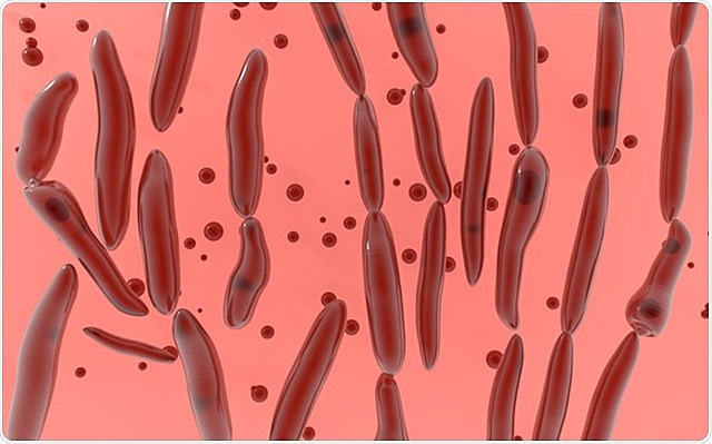 Descubrimiento del Clostridium botulinum