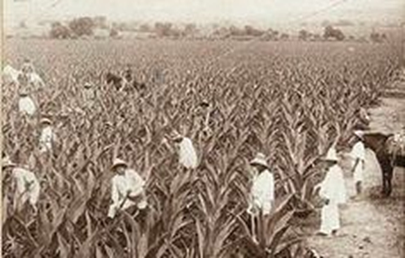 Sustitución de importaciones