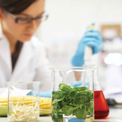 Timeline: Historia de la Microbiología de Alimentos