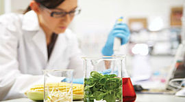 Timeline: Historia de la Microbiología de Alimentos