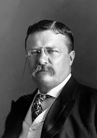 Theodore Roosevelt becomes president