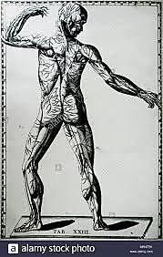 múltiples descubrimientos