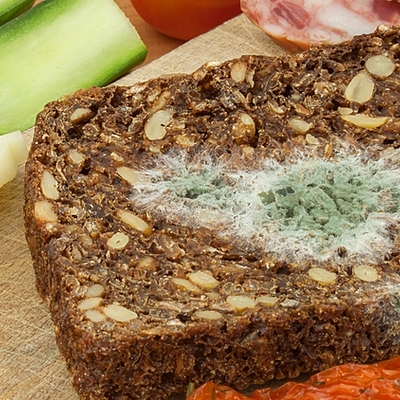 Timeline: Pequeños sucesos en la vida de la microbiologia