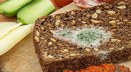 Timeline: Pequeños sucesos en la vida de la microbiologia