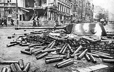 Берлинская операция (1945 г.)