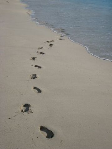 Henry Wadsworth LOngfellow's "The Tide Rises, The Tide Falls"