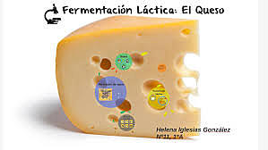 Fermentación (Louis Pasteur)