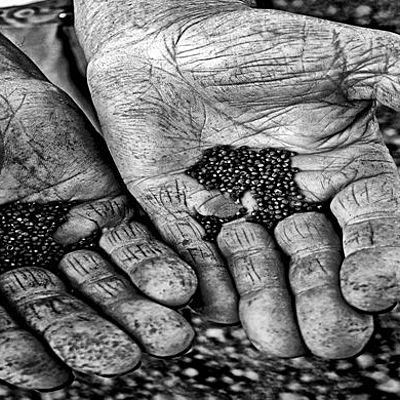 Timeline: Historia de la reforma agraria en Colombia 11D