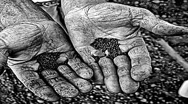 Timeline: Historia de la reforma agraria en Colombia 11D