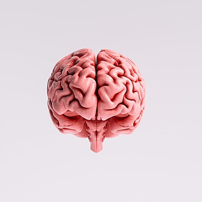 Timeline: Act. 1.2 Tarea Unidad 1. Línea de tiempo “Antecedentes históricos del estudio de la Biología del comportamiento”